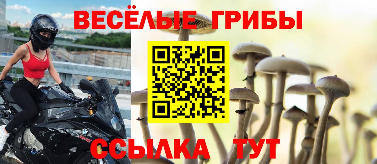 как найти   Вход с VPN  Железногорск  Галлюциногенные грибы GOLDEN TEACHER 