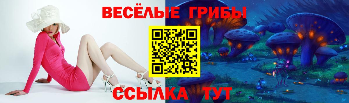 ГАШ  ГАШ  Железногорск  Вход с VPN  МЕФ   Бошки Шишки  КОКАИН 